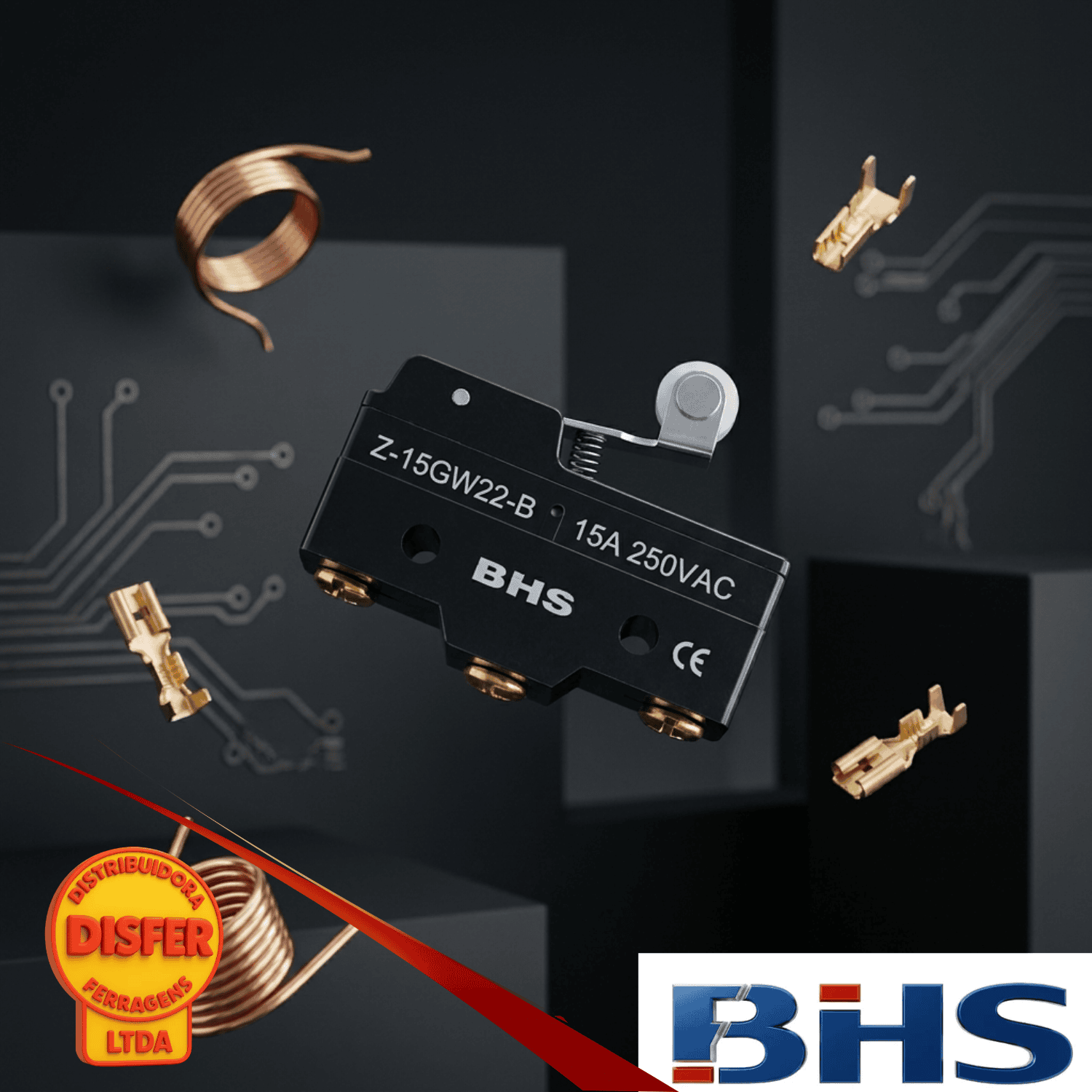 Microrruptor BHS Z 15gw22 b-