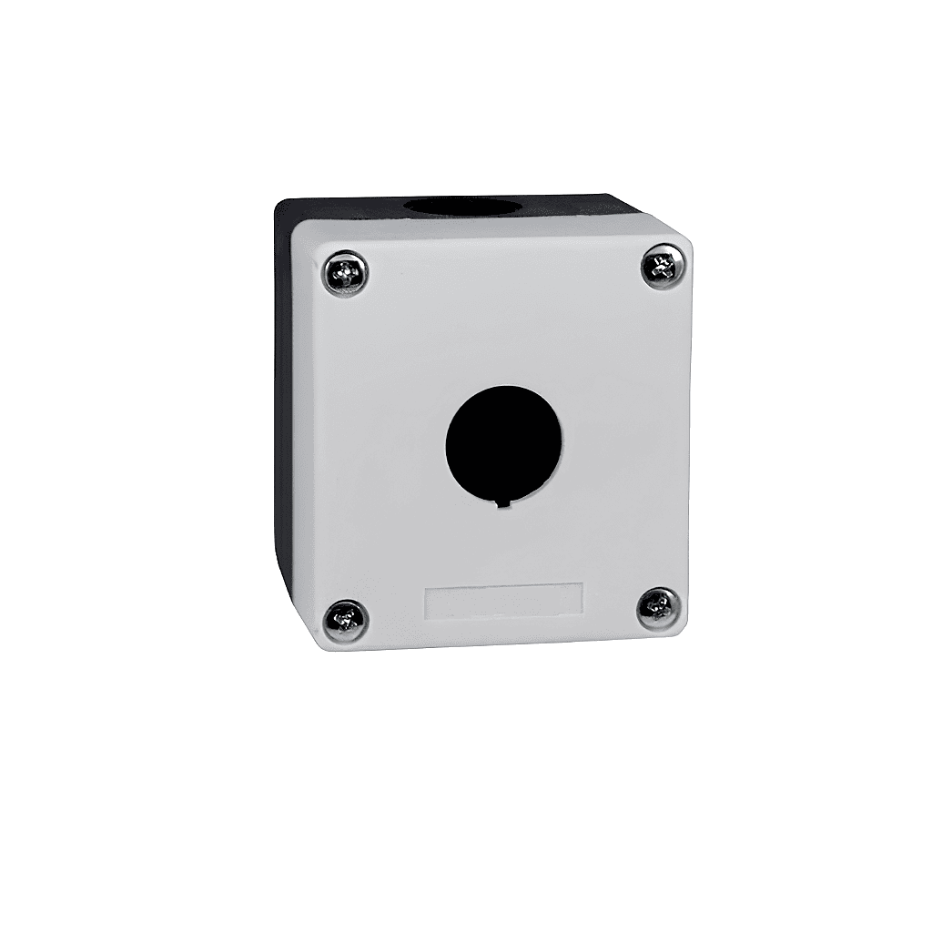 c556-7sv0odnzw7.png