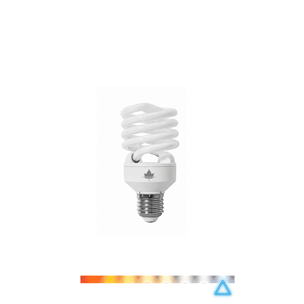 espiral-pequena-6r8gf7ep3u.png