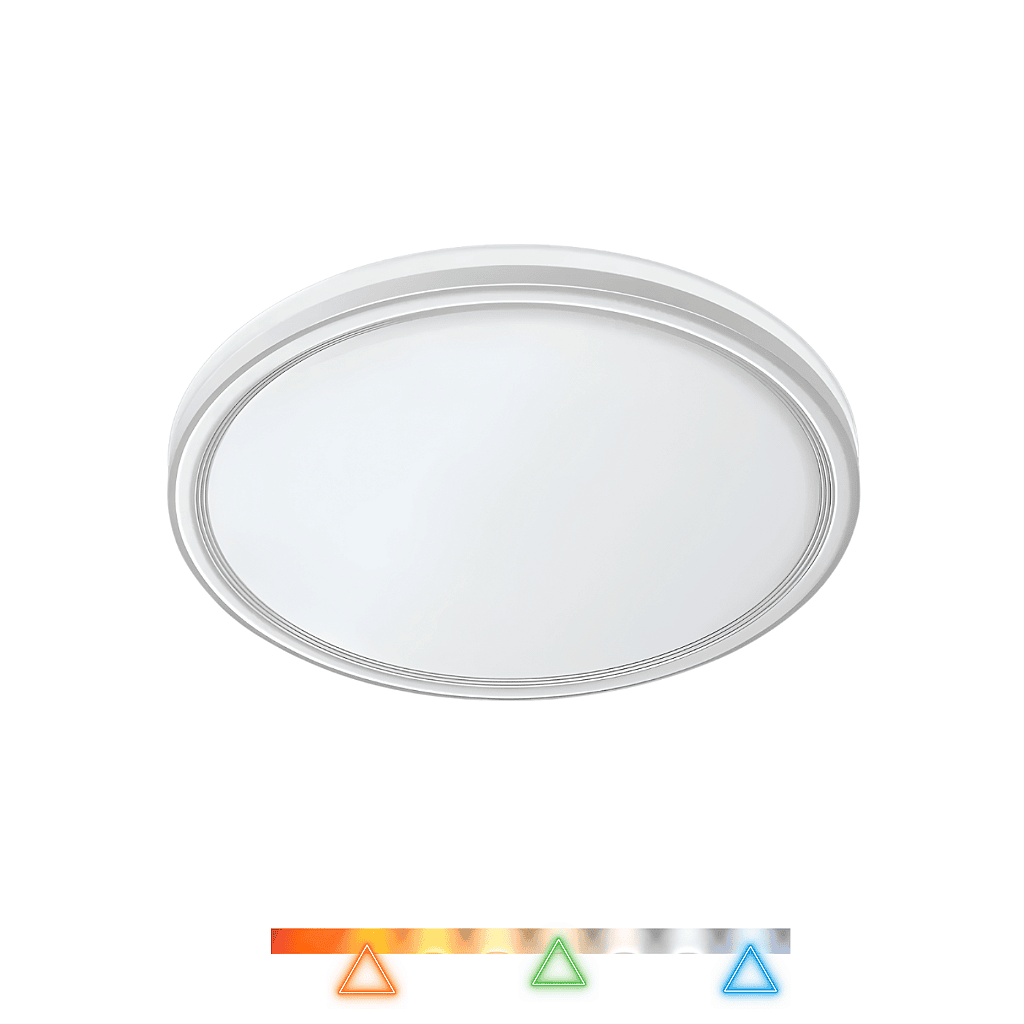 p165n-5rbwmek41c.png
