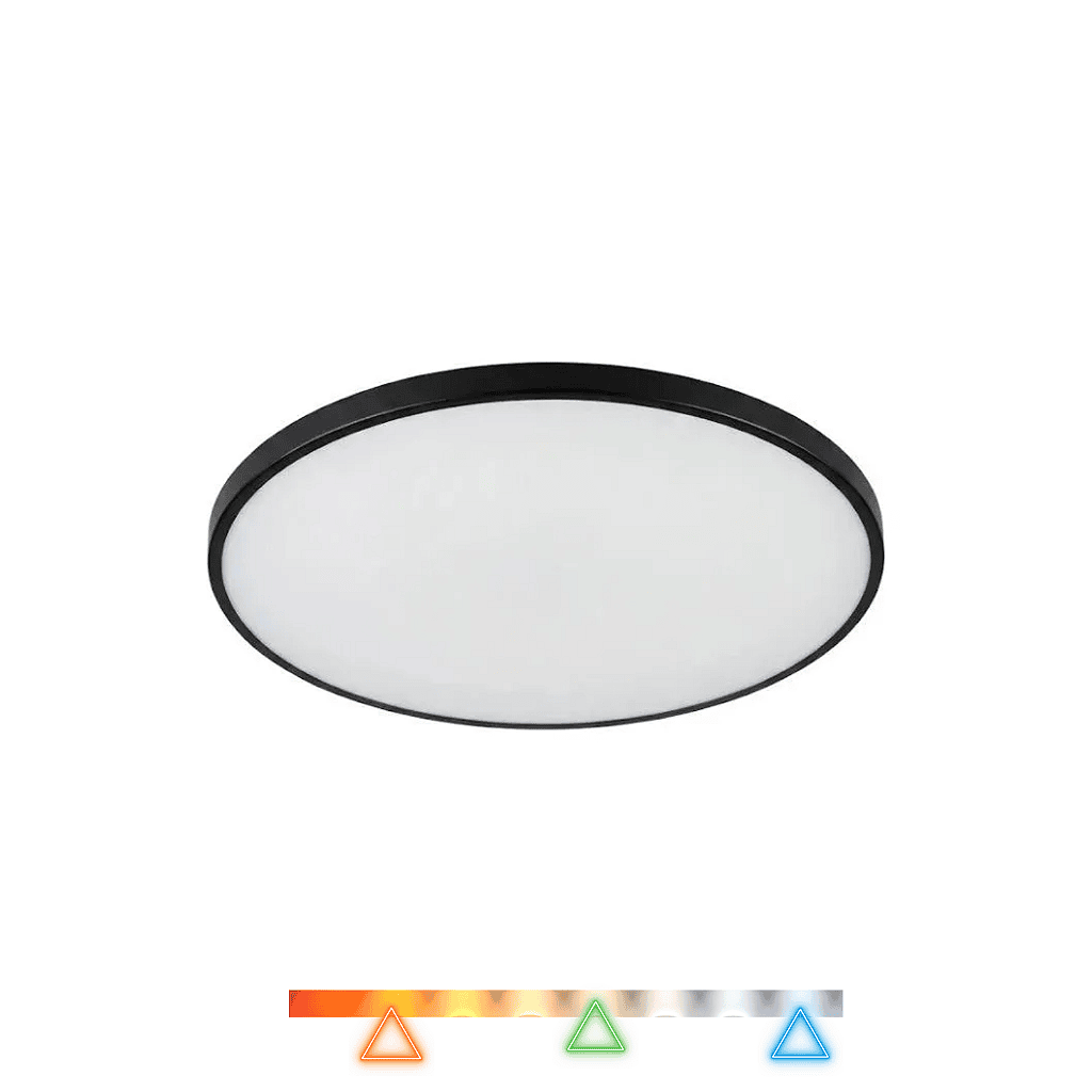 p183-wx89a55vq3.png