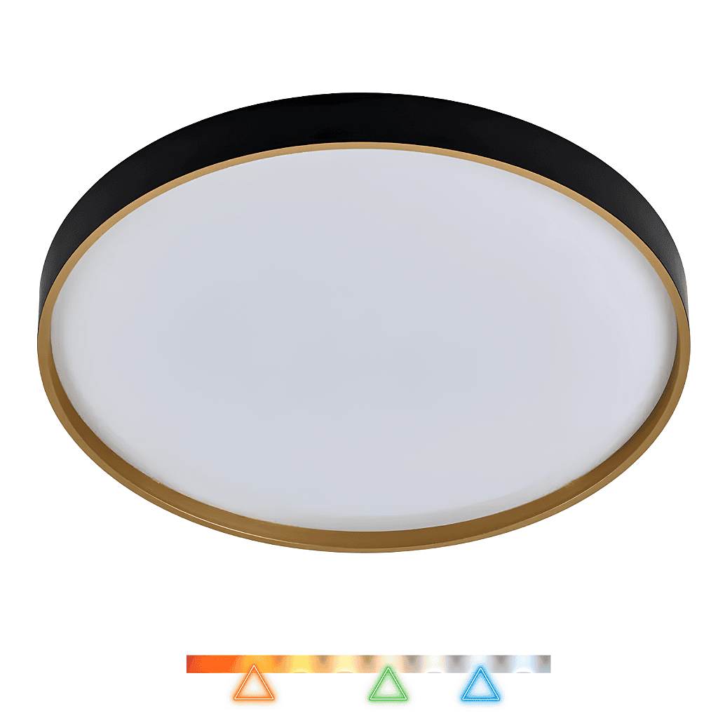 p393-dkg33q5rne.png