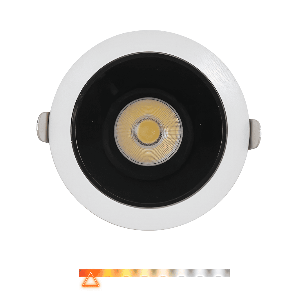 s173-oi2p8aueag.png