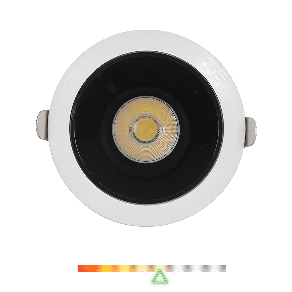 s174-m8xolhmwr6.png